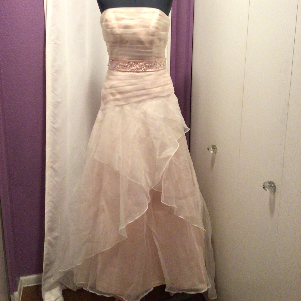 David’s Bridal dress